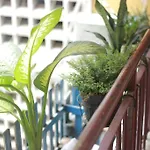 Lagom Studio 18 - Dep Va Yen Binh, Ke Ben Dinh Doc Lap, Nha Tho Duc Ba, Duong Nguyen Du, Phuong Ben Nghe, Quan 1