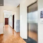 Hanz Queen Airport Hotel Saigon