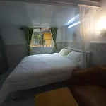 Cute Moth