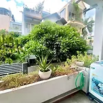 D\'S House