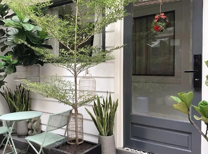 Lily Hostel