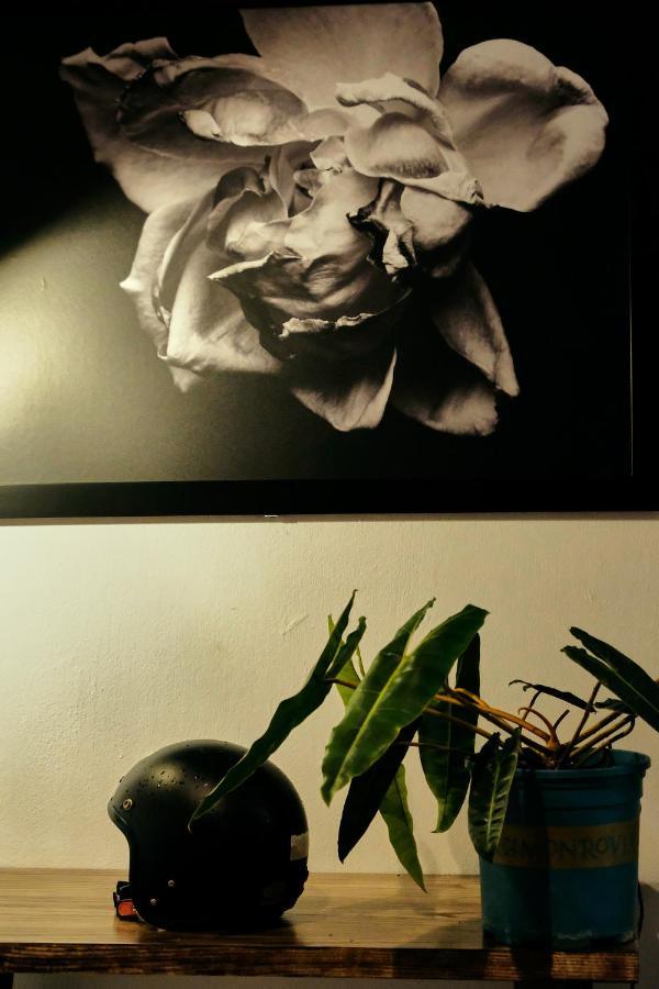 Peaceful Saigon - Entire House 1br In District 1 - Pet-friendly Ho Chi Minh City