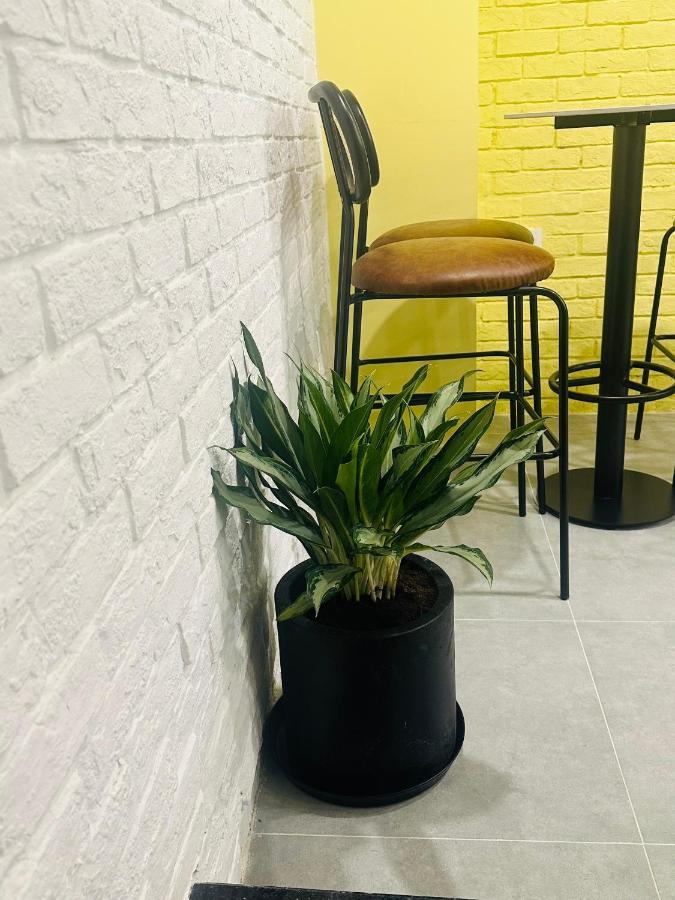 Dori House Quan 1 Ho Chi Minh City