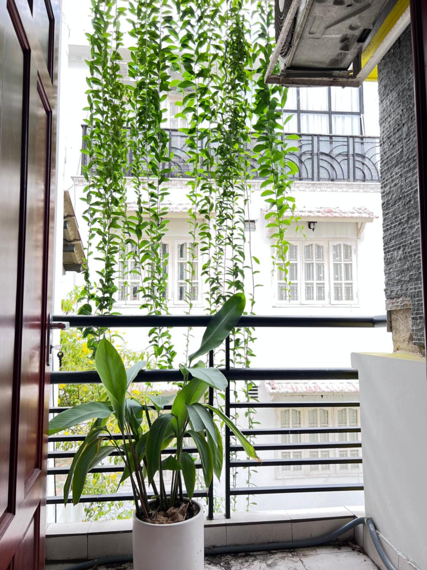 Homestay Co Saigon