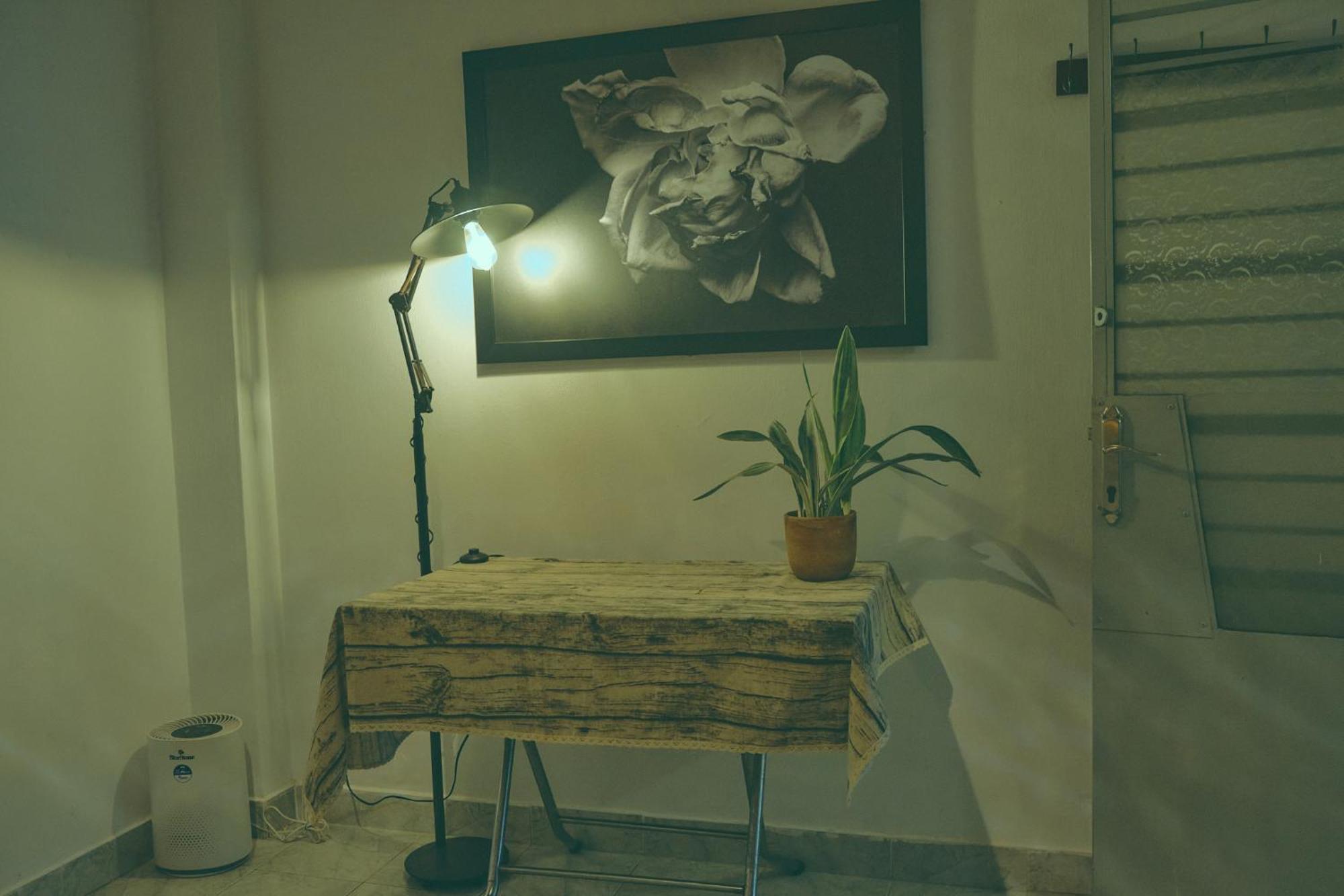 Peaceful Saigon - Entire House 1br In District 1 - Pet-friendly Apartment *
