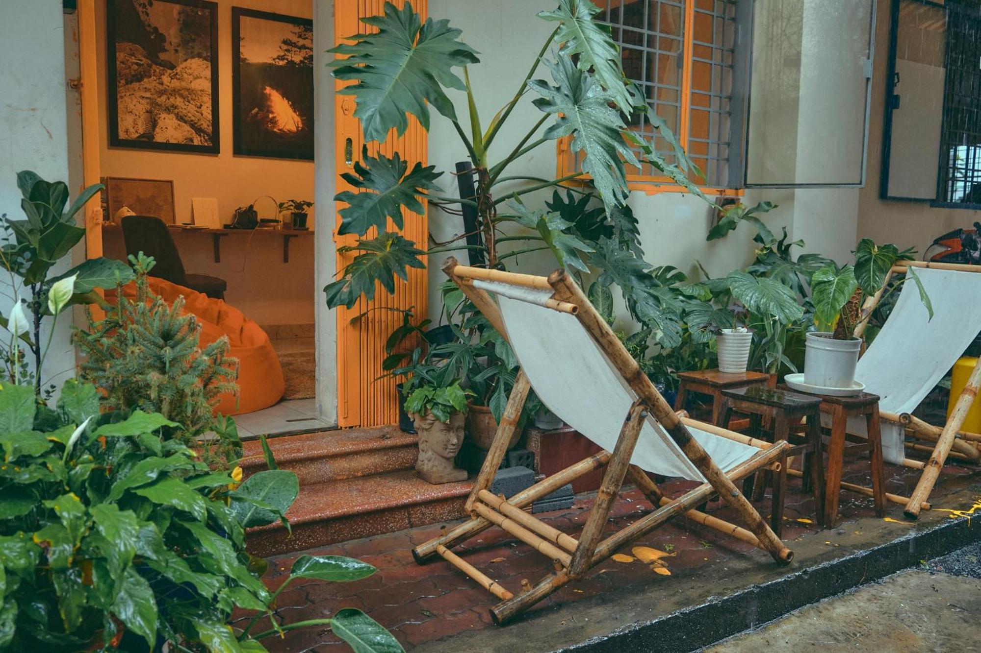 Peaceful Saigon - Entire House 1br In District 1 - Pet-friendly Apartment