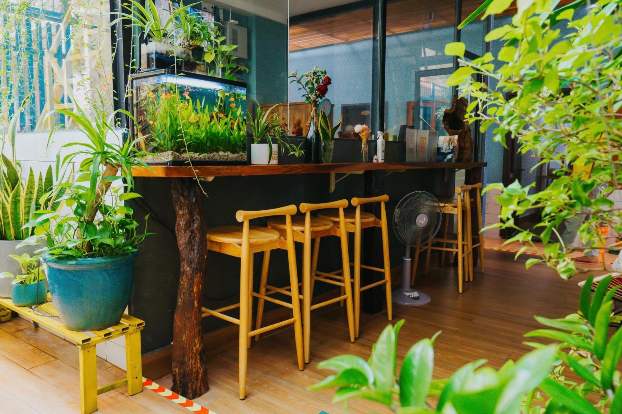 Vania House * Ho Chi Minh City