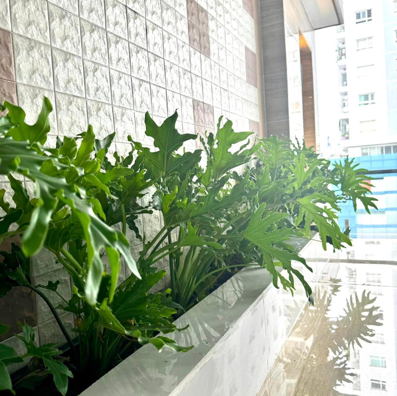 Cozy With Balcony 10mins To Airport Maihouse