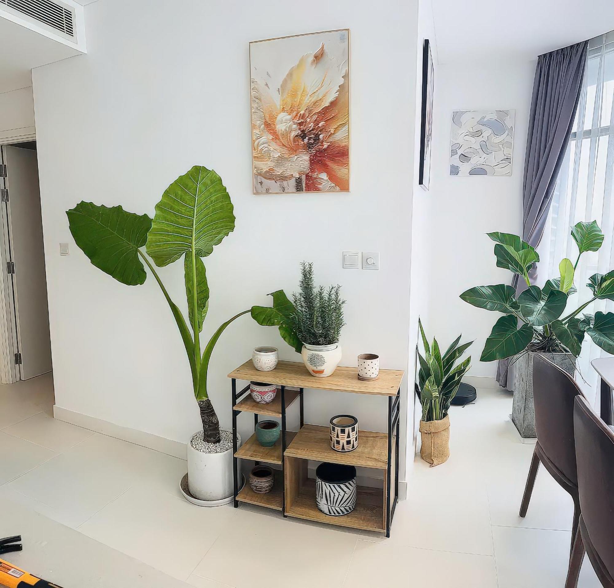 Minute - Botanica Orchard Tsn Airport Apartment *