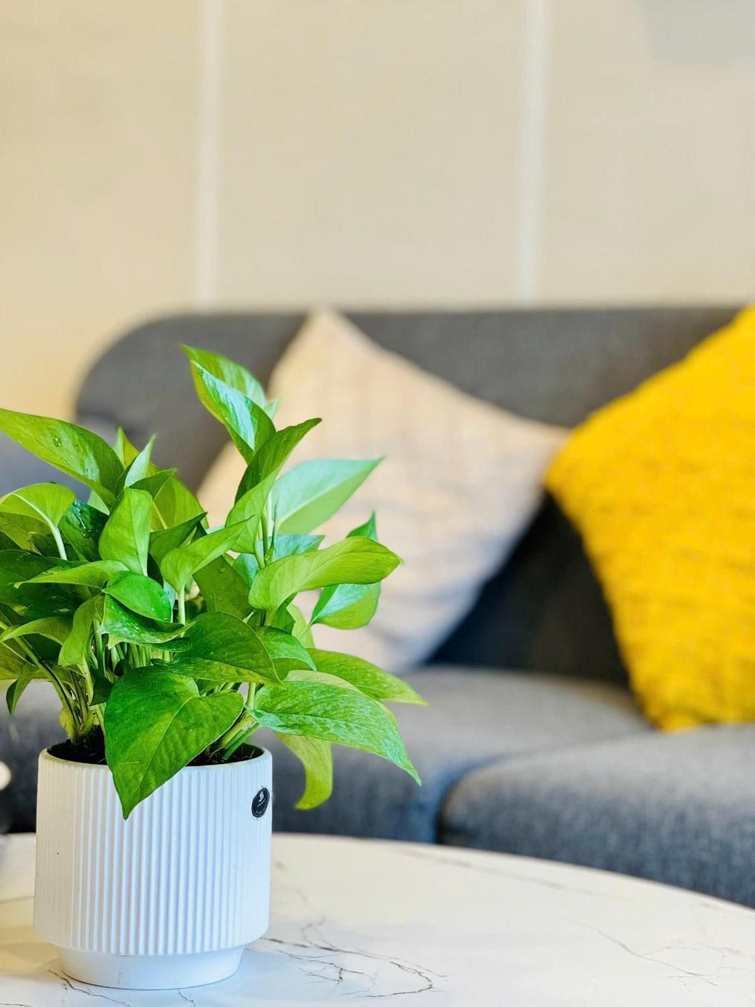 Apartment Soho - Luxury Stay, Next To Benthanh Market *