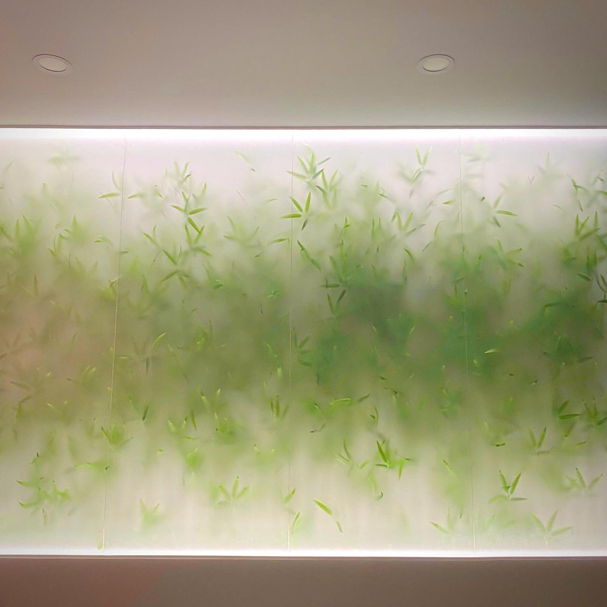 Guest house Skyline By Ben Thanh, D1 Ho Chi Minh City