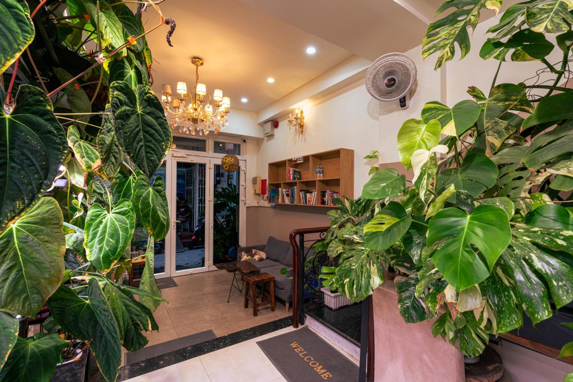 Amango Guest house Ho Chi Minh City