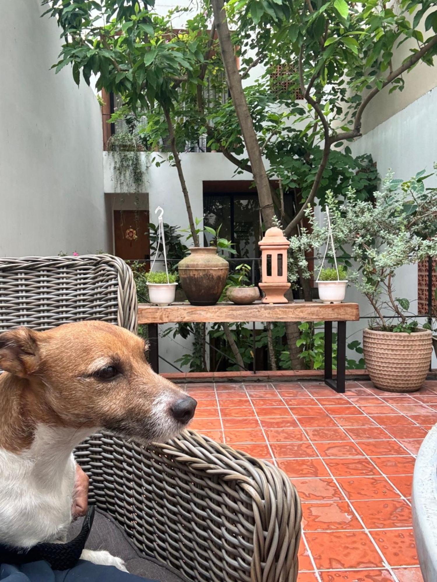 Guest house Notre Maison 8 Saigon Close Landmark 81 Building *