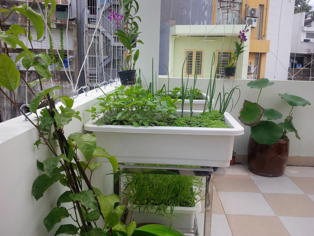 Hostel La Saigon Ho Chi Minh City
