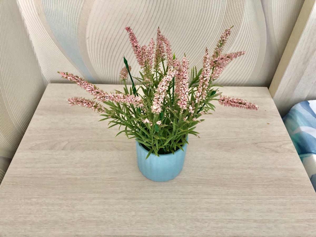 Apartment Tresor Maisonnde Rose *
