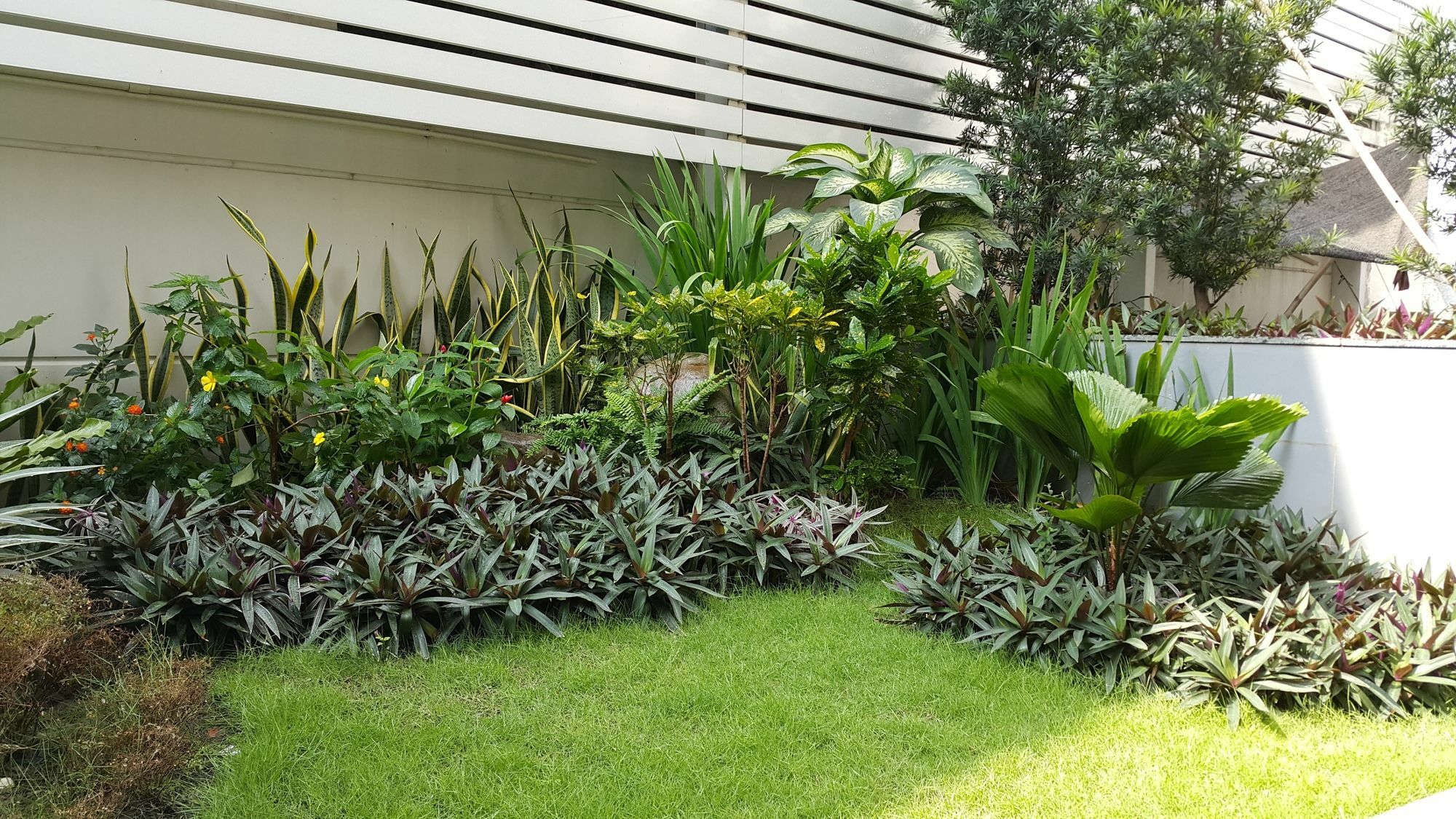 Apartment An Phu Plaza Serviced