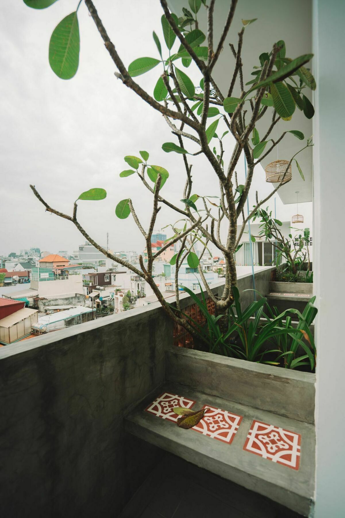 Iam Saigon *