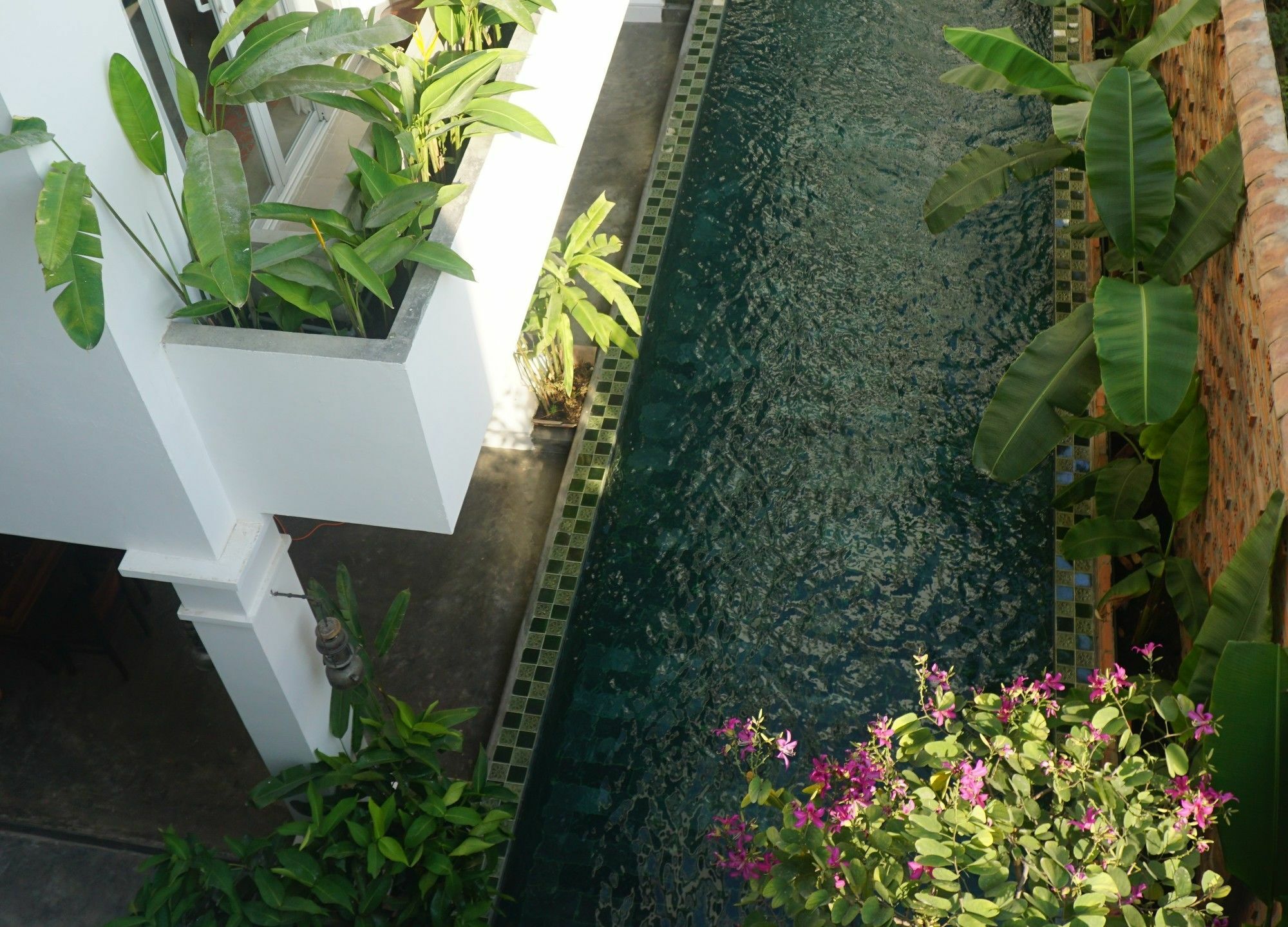 Iam Saigon Homestay *