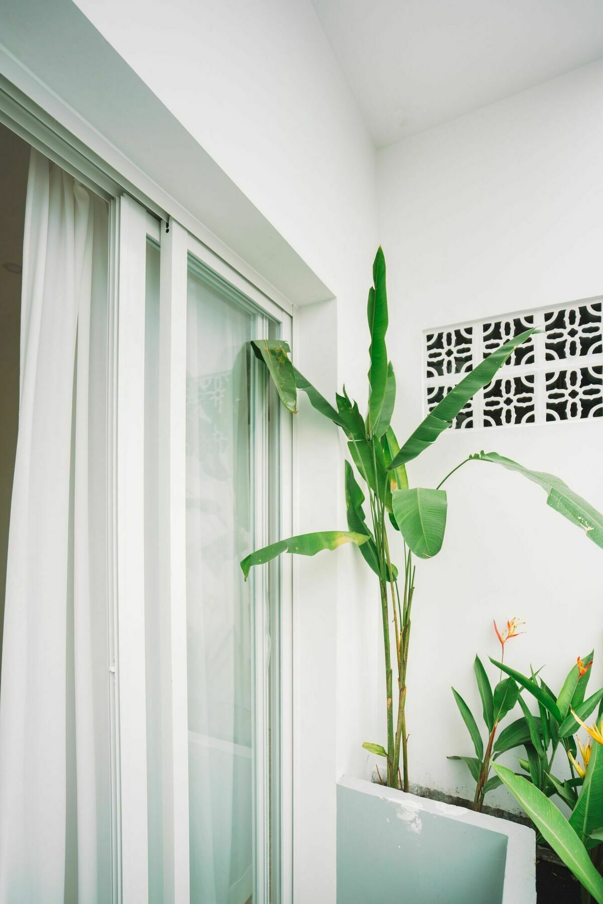 Homestay Iam Saigon Ho Chi Minh City