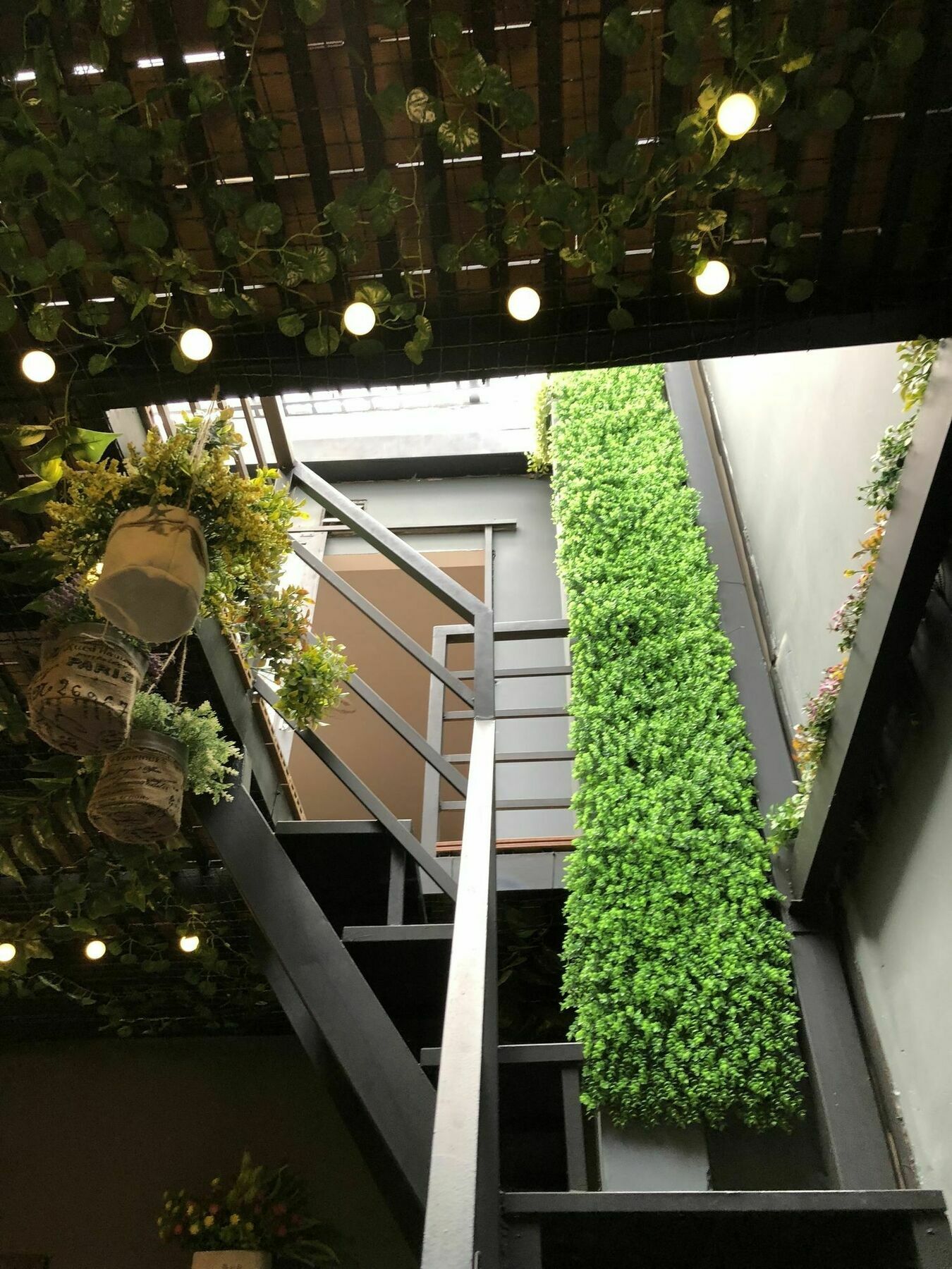 Diamond Rainbow - The Centre Hostel *