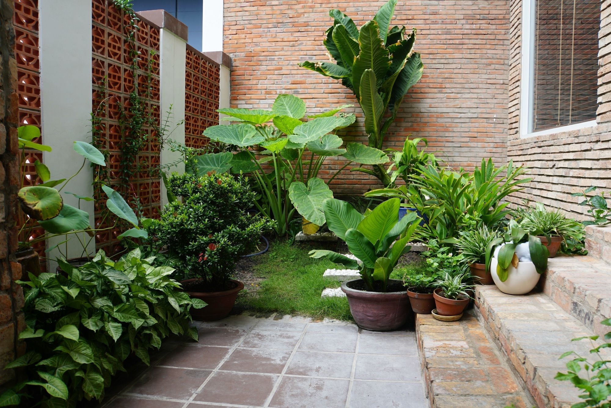 Aparthotel Ananas Family Ho Chi Minh City