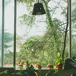 Homestay - Male Shared Dorm - View Song Tren Ban Dao Thanh Da - Binh Thanh - Sai Gon