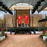 Jk Container House