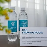 Cozrum Homes - Retro House