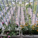 Hausneo Apartment