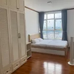 Spacious Apartment In District 7