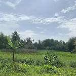 Casa Fior Di Loto - On The Lotus Pond Island
