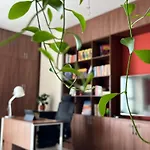 Work & Rest Suite Secc