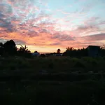 Lotus Retreat