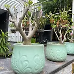 Home Resort With Full Amenities