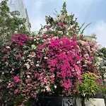 Hotel Nguyen Anh
