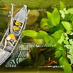 Ngoc Minh Hotel
