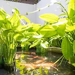 Thao Dien Serenity Villa