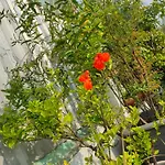 Huong\'S Homestay