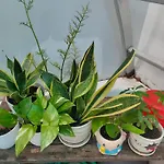 Huong\'S Homestay
