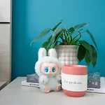 Lumina Home