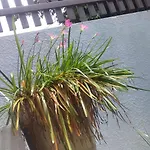 Shanti-Blissed Corner Of Saigon River\'S End