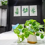 Cola\'S Homestay