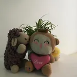 Homestay Ms.Hoa