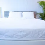 Paragon Saigon