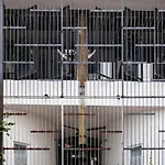 Circadian Japanese Studios In Downtown