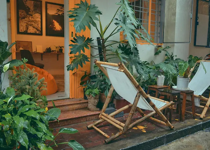 Peaceful Saigon - Entire House 1Br In District 1 - Pet-Friendly