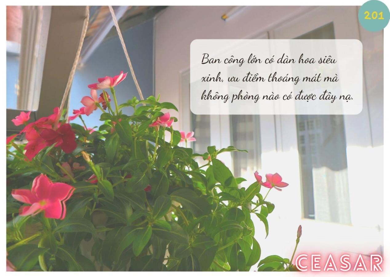 Ceasar Homestay *