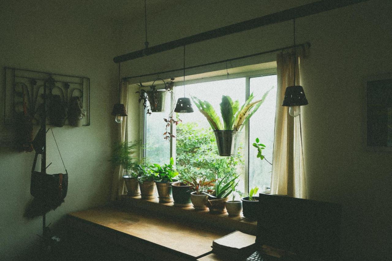Homestay Homestay - Male Shared Dorm - View Song Tren Ban Dao Thanh Da - Binh Thanh - Sai Gon Ho Chi Minh City