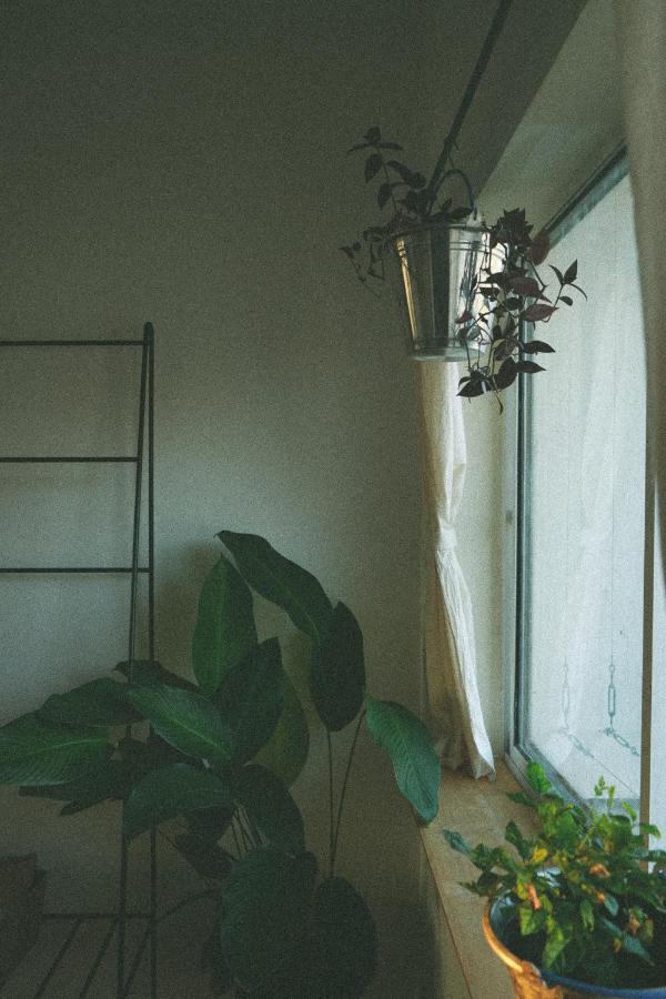 Homestay - Male Shared Dorm - View Song Tren Ban Dao Thanh Da - Binh Thanh - Sai Gon * Ho Chi Minh City
