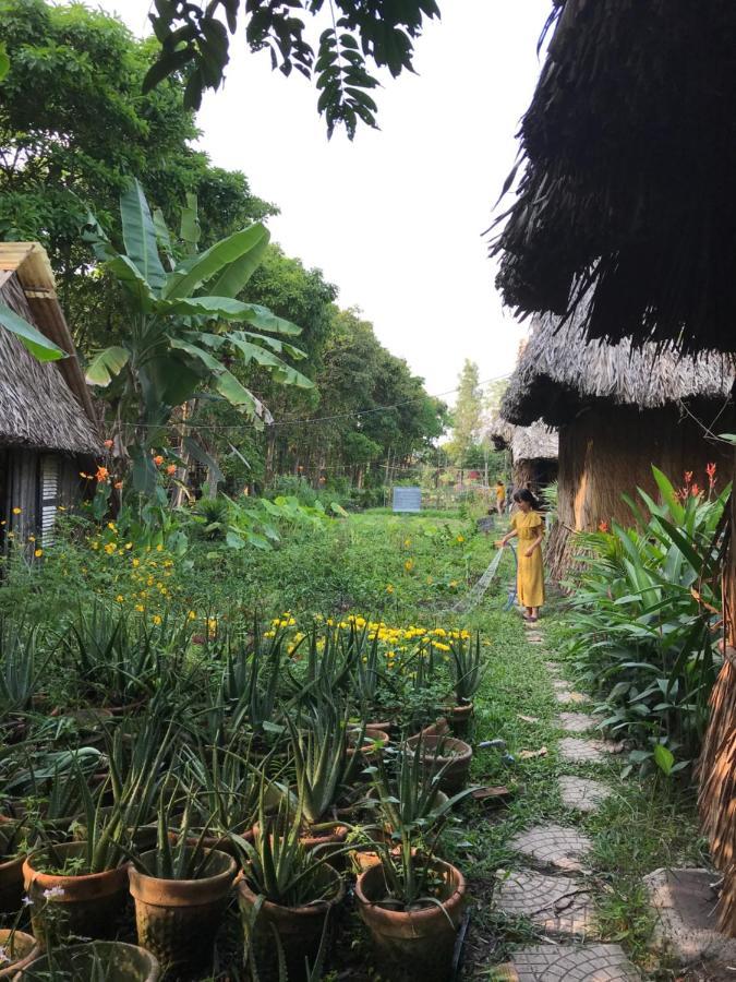 Saigon Garden Homestay *